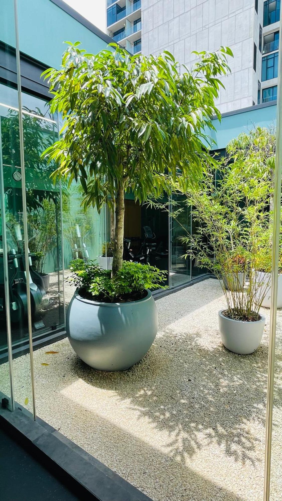 Cozy Apartment With Terrace, Sj Cosmopolitan Tower #402 San José Exterior foto